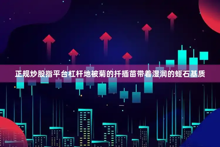 正规炒股指平台杠杆地被菊的扦插苗带着湿润的蛭石基质