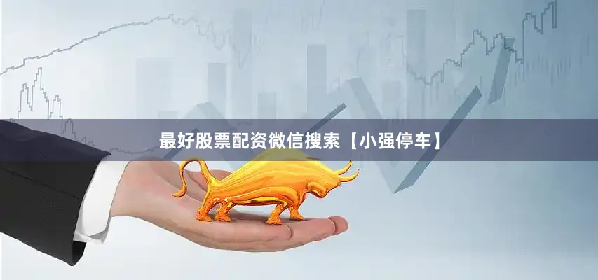最好股票配资微信搜索【小强停车】