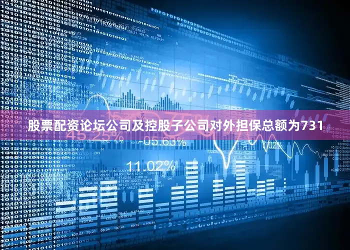 股票配资论坛公司及控股子公司对外担保总额为731