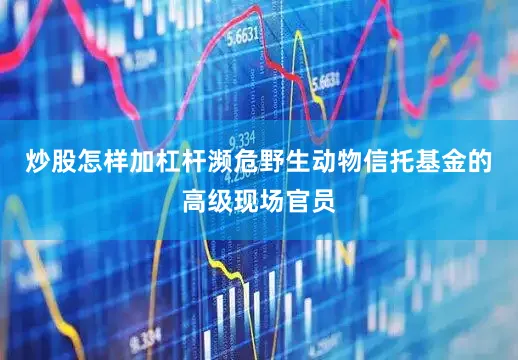 炒股怎样加杠杆濒危野生动物信托基金的高级现场官员